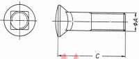 Plow Bolts Schraube (vierkant) 5/8" (15,75mm)x40mm