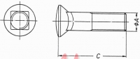 Plow Bolts Schraube (vierkant) 1"(25,4mm)x101mm